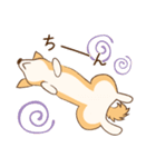 柴犬ハル君（個別スタンプ：21）