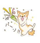柴犬ハル君（個別スタンプ：22）