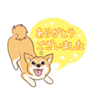 柴犬ハル君（個別スタンプ：23）