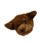 しろは毎日ニコニコ（個別スタンプ：7）