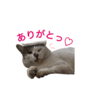まるちゃんコレクション 1（個別スタンプ：22）