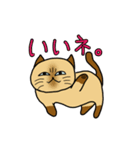 ざわざわネコさん。（個別スタンプ：3）