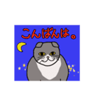 ざわざわネコさん。（個別スタンプ：5）