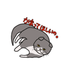 ざわざわネコさん。（個別スタンプ：6）