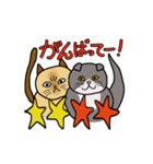 ざわざわネコさん。（個別スタンプ：7）