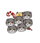 ざわざわネコさん。（個別スタンプ：9）