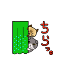 ざわざわネコさん。（個別スタンプ：12）