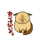 ざわざわネコさん。（個別スタンプ：19）