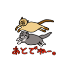 ざわざわネコさん。（個別スタンプ：26）