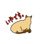 ざわざわネコさん。（個別スタンプ：27）