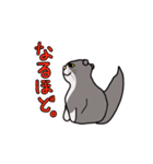 ざわざわネコさん。（個別スタンプ：29）