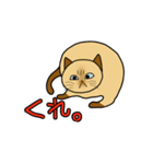 ざわざわネコさん。（個別スタンプ：31）