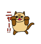ざわざわネコさん。（個別スタンプ：38）