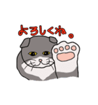 ざわざわネコさん。（個別スタンプ：40）