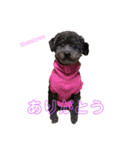 かわい子ちゃんたち＊.（個別スタンプ：3）