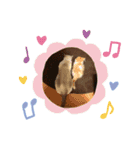 ベルエマレオそら（個別スタンプ：1）