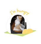 ベルエマレオそら（個別スタンプ：3）