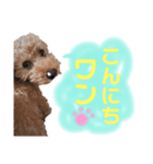 リベリー＆ピノ byオハナビーズ（個別スタンプ：1）