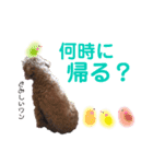 リベリー＆ピノ byオハナビーズ（個別スタンプ：4）