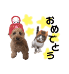 リベリー＆ピノ byオハナビーズ（個別スタンプ：7）