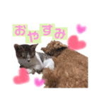 リベリー＆ピノ byオハナビーズ（個別スタンプ：8）