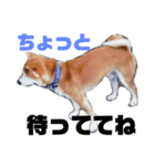 ケンすたんぷ。（個別スタンプ：11）