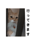 きんちゃんと一緒（個別スタンプ：7）