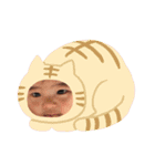 まうくんスタンプ（個別スタンプ：29）
