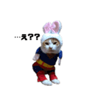 char chan（個別スタンプ：4）