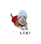 char chan（個別スタンプ：12）
