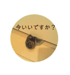 あーたんスタンプ1（個別スタンプ：17）