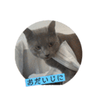 あーたんスタンプ1（個別スタンプ：20）