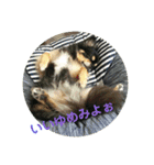 カイたんの日常♡（個別スタンプ：14）