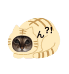 だいちゃんときなちゃん（個別スタンプ：19）