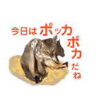 だいちゃんときなちゃん（個別スタンプ：29）