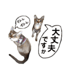 だいちゃんときなちゃん（個別スタンプ：30）