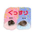 だいちゃんときなちゃん（個別スタンプ：36）