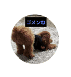 小麦のこむたん（個別スタンプ：4）