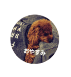 かわいい小麦（個別スタンプ：1）