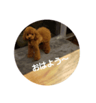 かわいい小麦（個別スタンプ：6）
