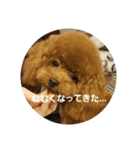 かわいい小麦（個別スタンプ：9）
