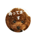 かわいい小麦（個別スタンプ：12）