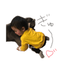 ウィン キン（個別スタンプ：16）