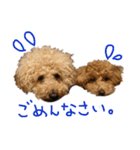 まいにちロンロコ。（個別スタンプ：1）
