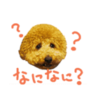 まいにちロンロコ。（個別スタンプ：4）
