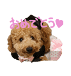 まいにちロンロコ。（個別スタンプ：6）