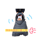 チビひなちゃん1（個別スタンプ：2）