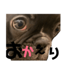はなちゃんと愉快な仲間たち1（個別スタンプ：21）
