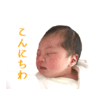みつきん家（個別スタンプ：8）