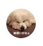 ラムスタンプ 1（個別スタンプ：27）